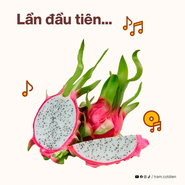 Mì tôm thanh long - lần đầu tiên, có giai điệu quảng cáo mì gói 5 anh 7 1701313410491939450849